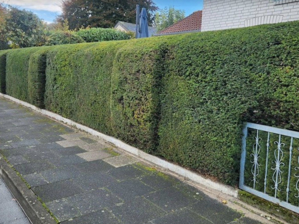 Garten- und Grünanlagenpflege